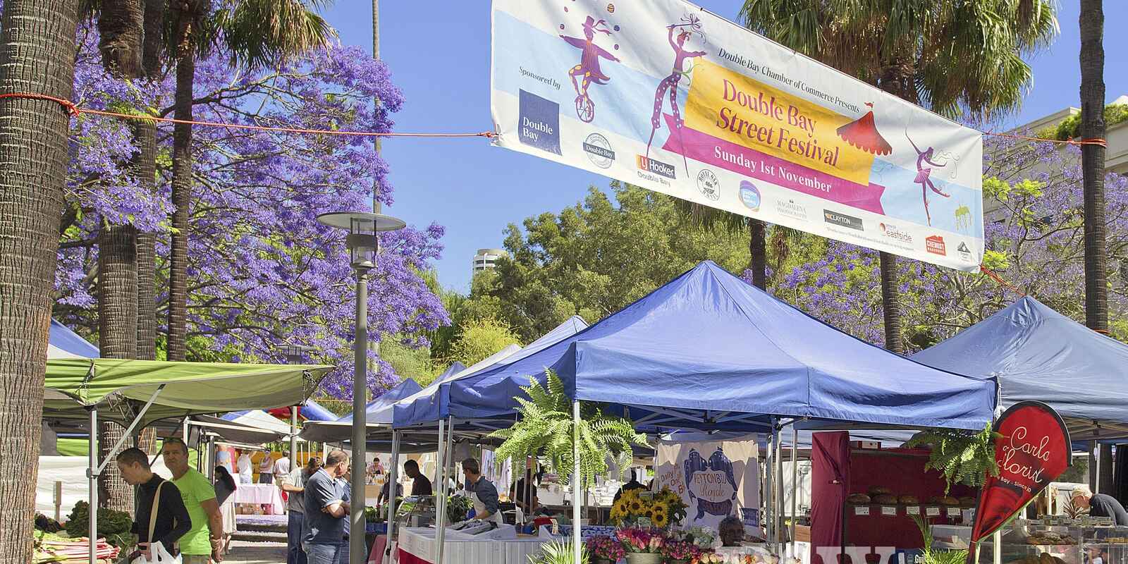 66/177 Bellevue Road Double Bay