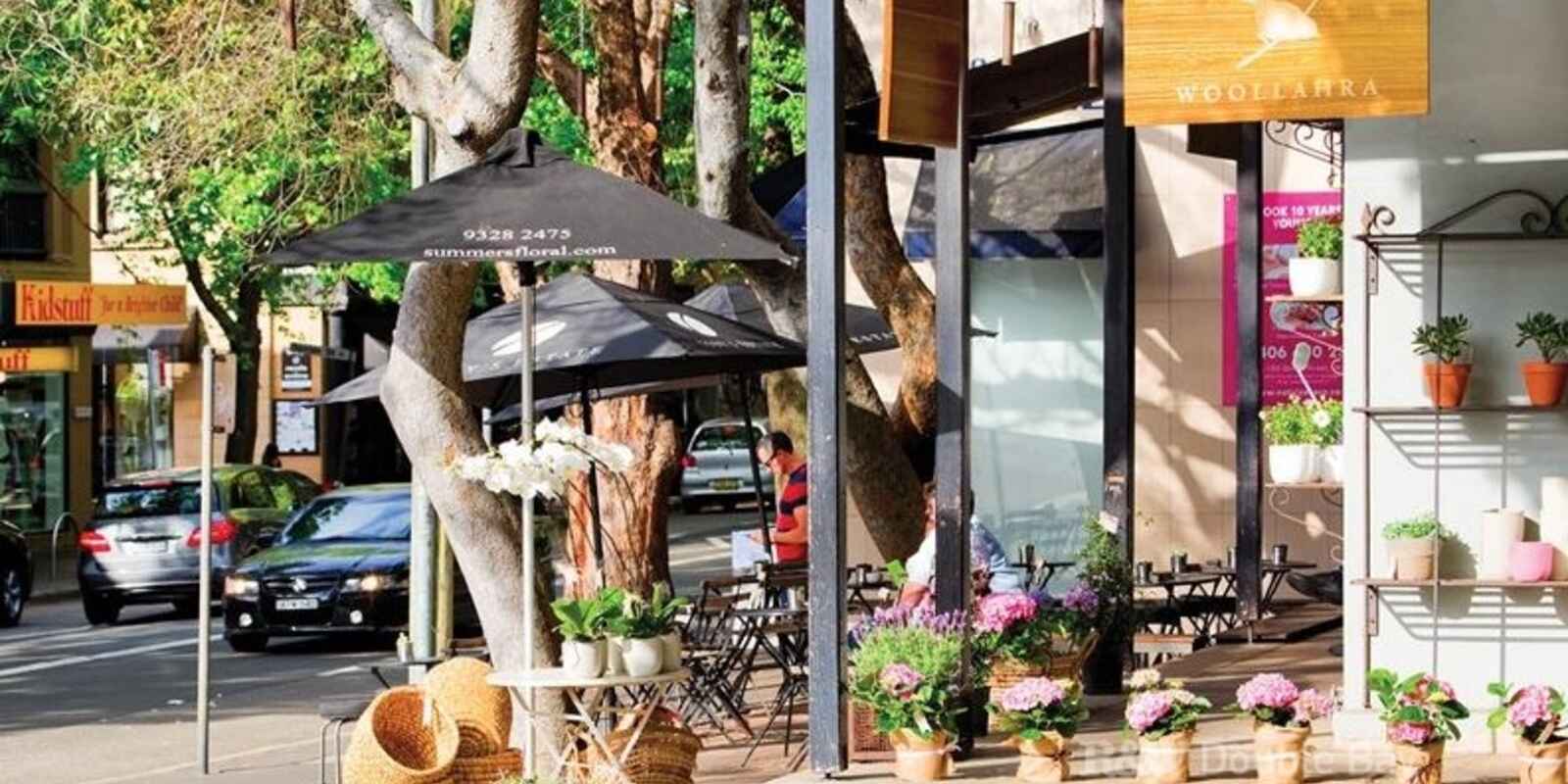 3/78 Ocean Street Woollahra 3/78 Ocean Street Woollahra