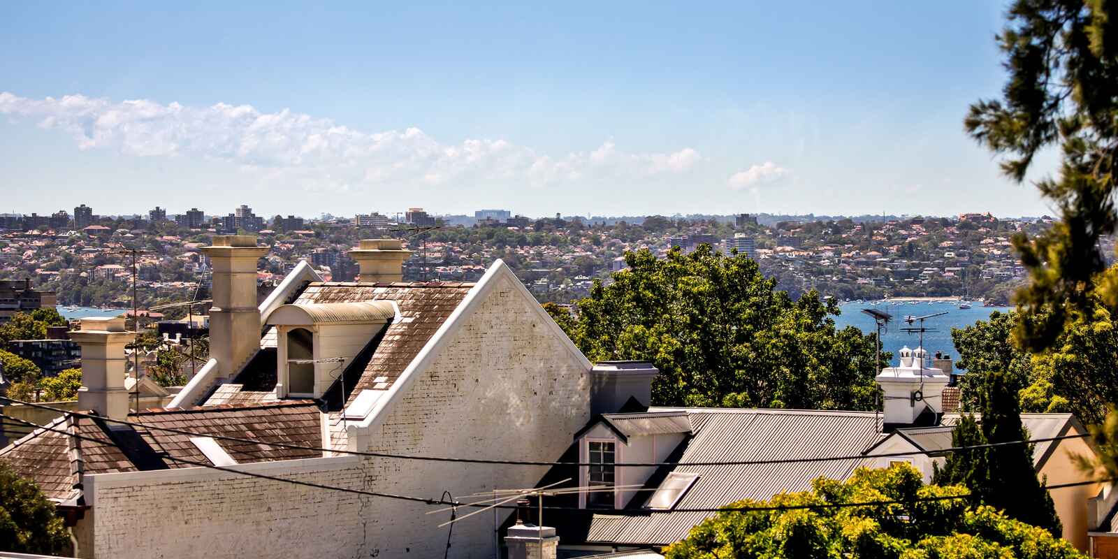 103 Underwood Street Paddington