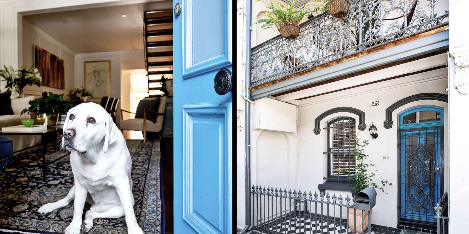 103 Underwood Street Paddington