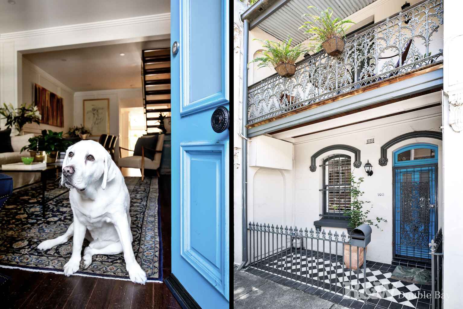 103 Underwood Street Paddington