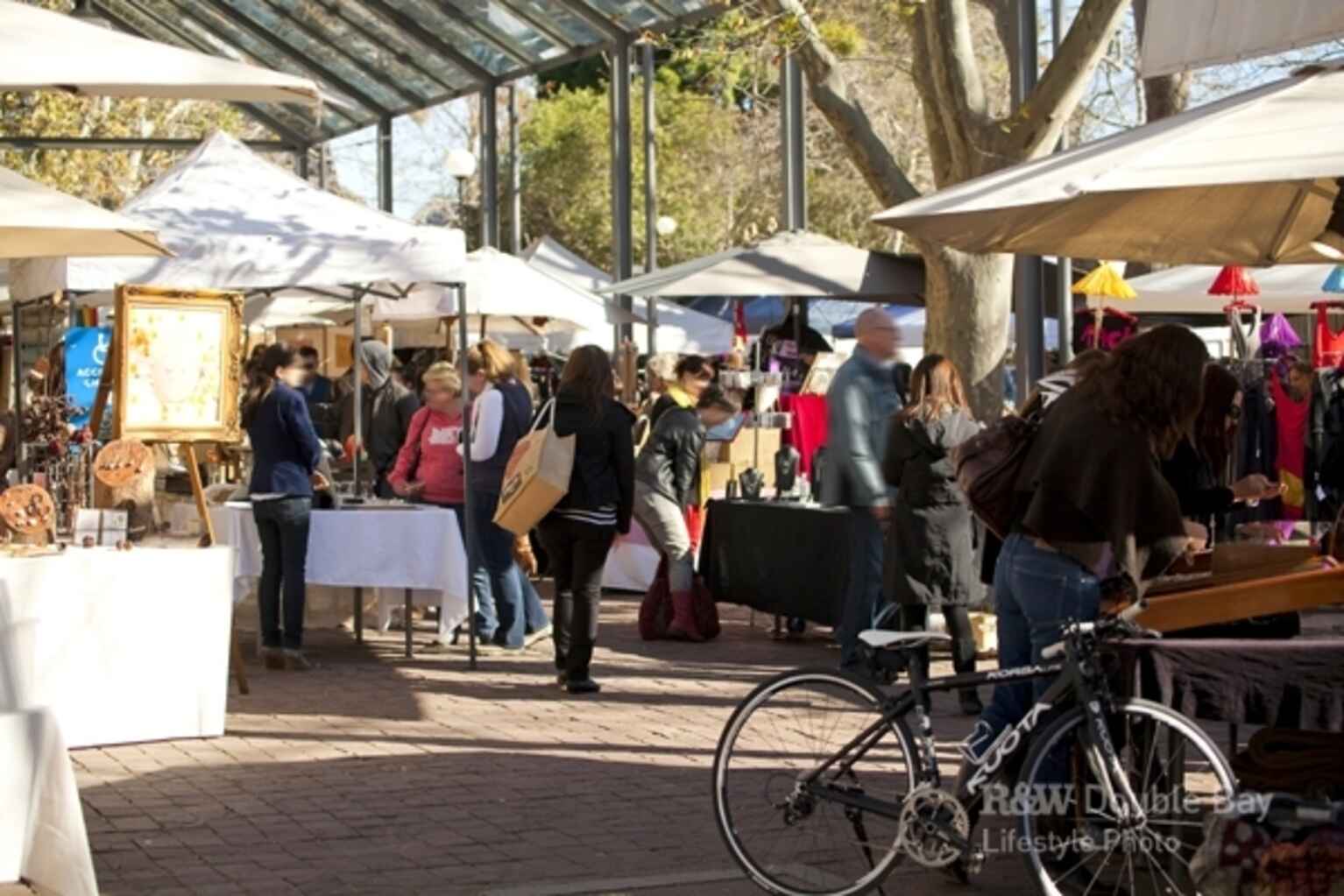 19 McGarvie Street Paddington