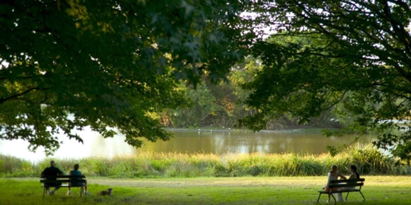 5B/2 Cook Road Centennial Park