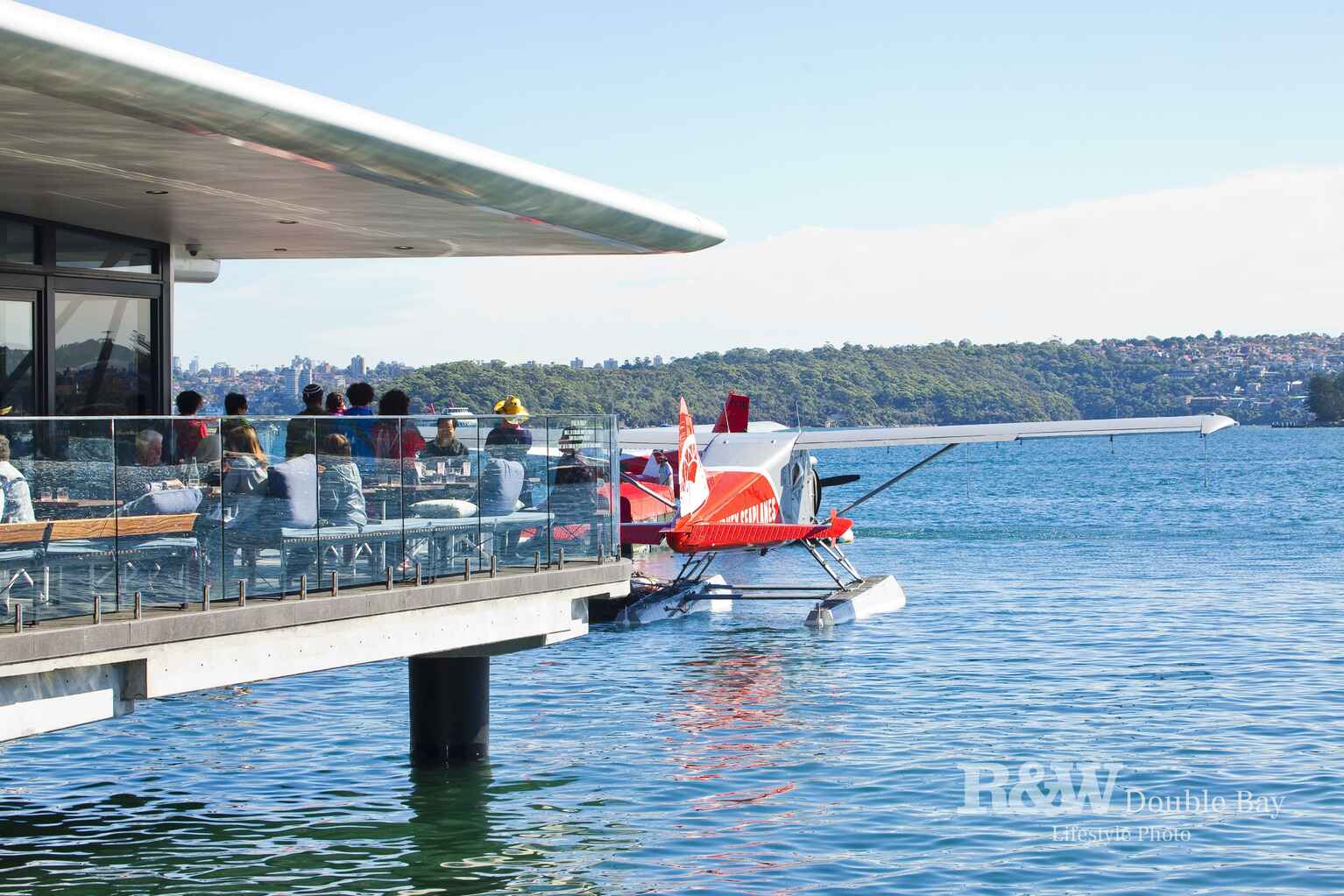 97 Dover Road Rose Bay