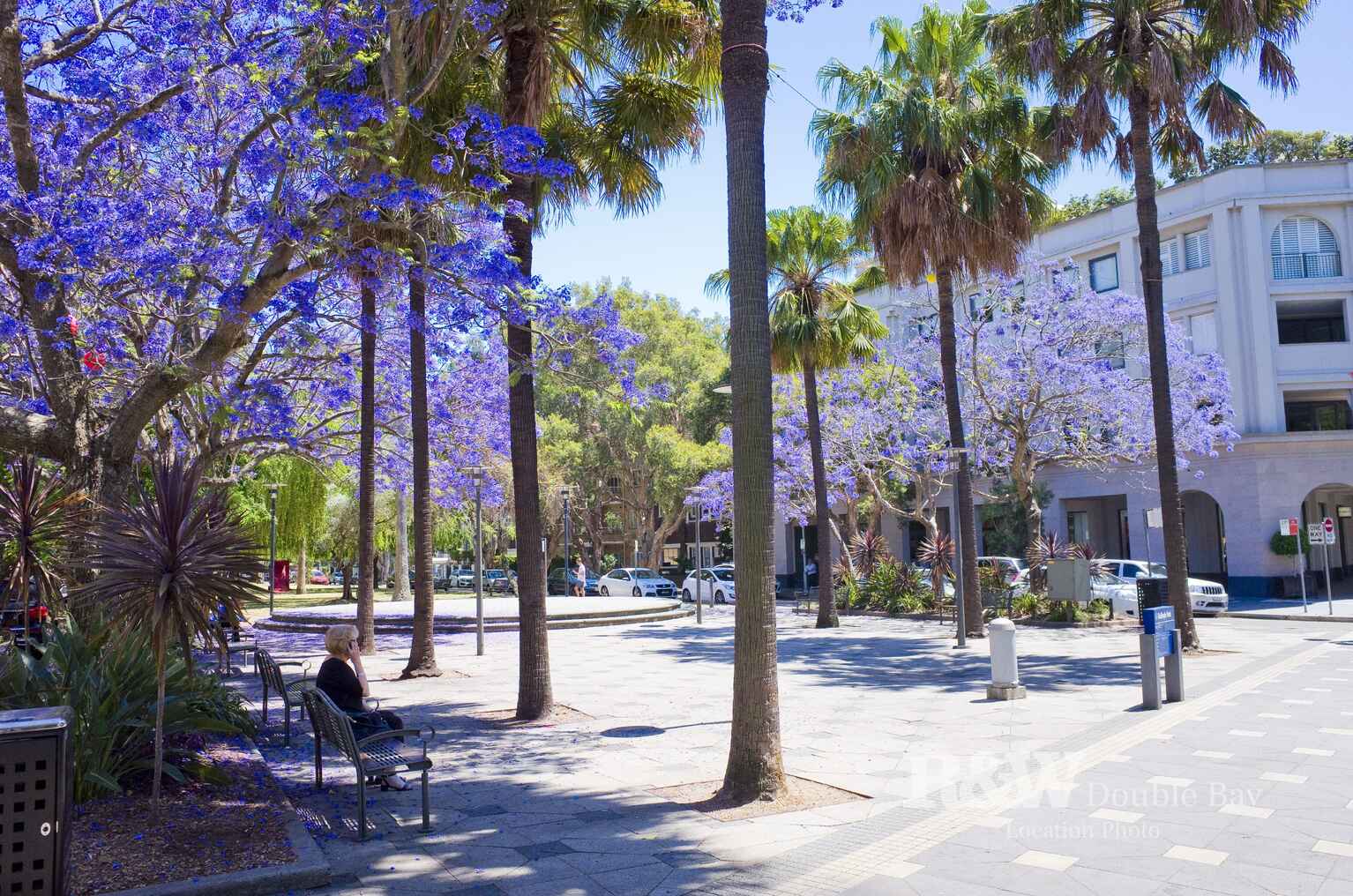 4/43 Ocean Avenue Double Bay