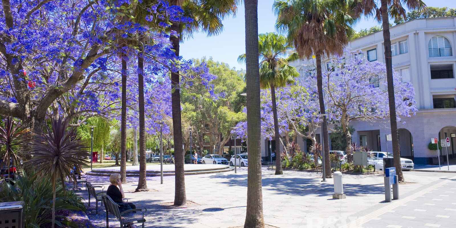 8D/45 Ocean Avenue Double Bay