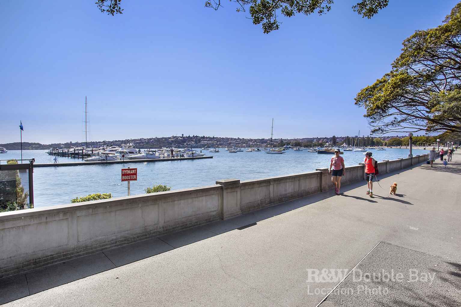 3/35 Salisbury Road Rose Bay