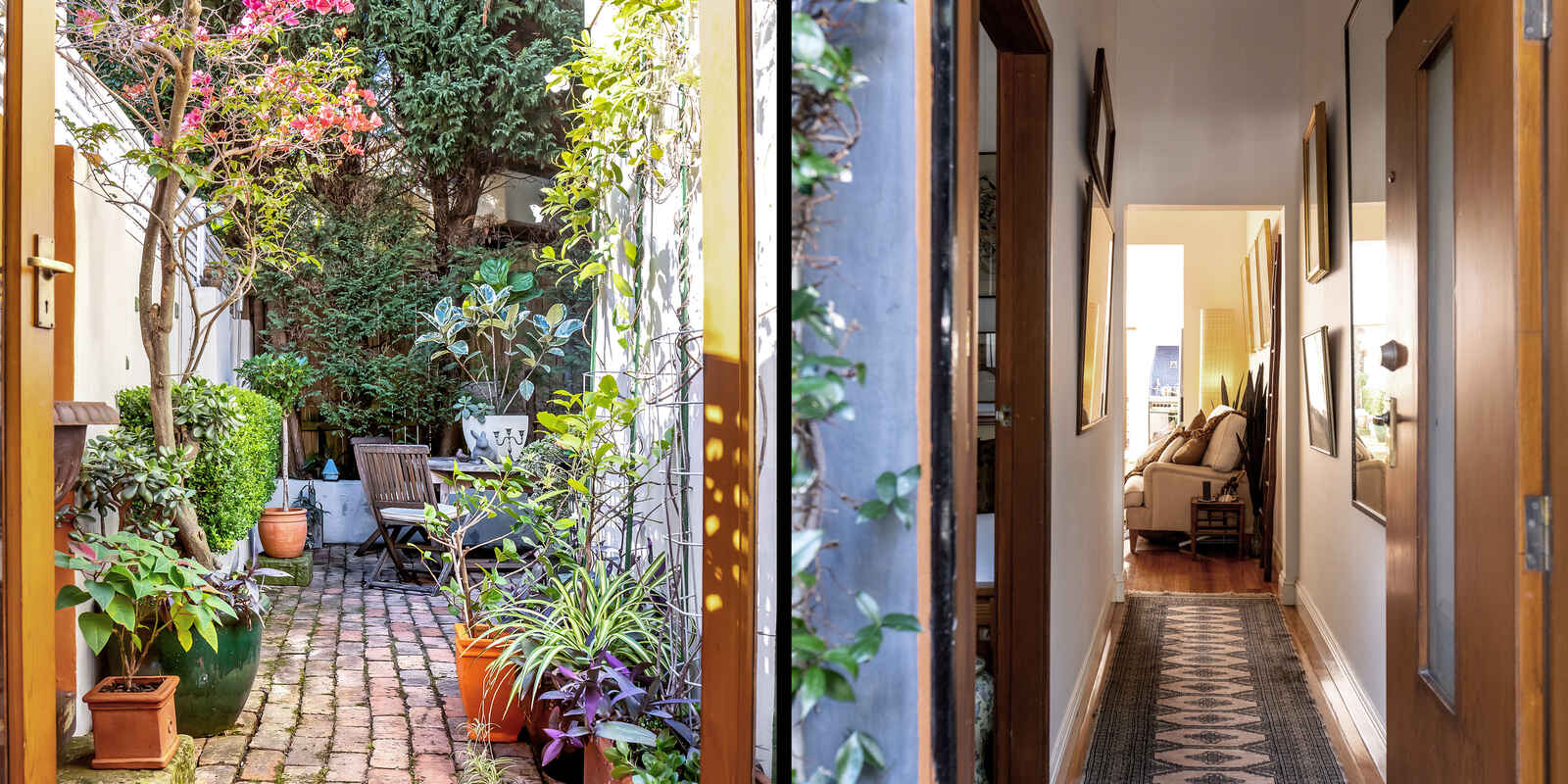  39  Campbell Avenue  Paddington