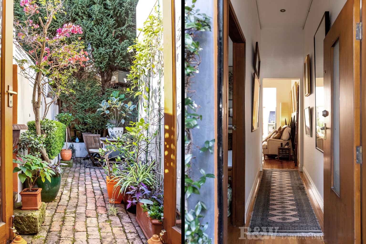 39 Campbell Avenue Paddington 39 Campbell Avenue Paddington