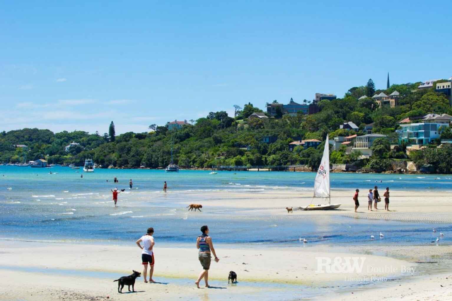 3/35 Salisbury Road Rose Bay