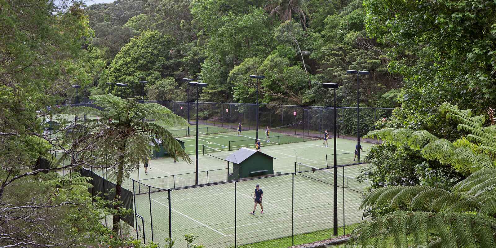 12/51 Bellevue Road Bellevue Hill