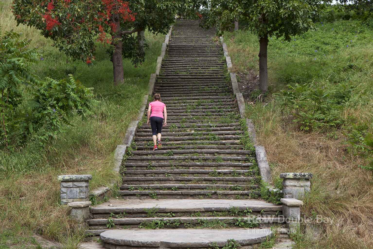 30 Fairweather Street Bellevue Hill