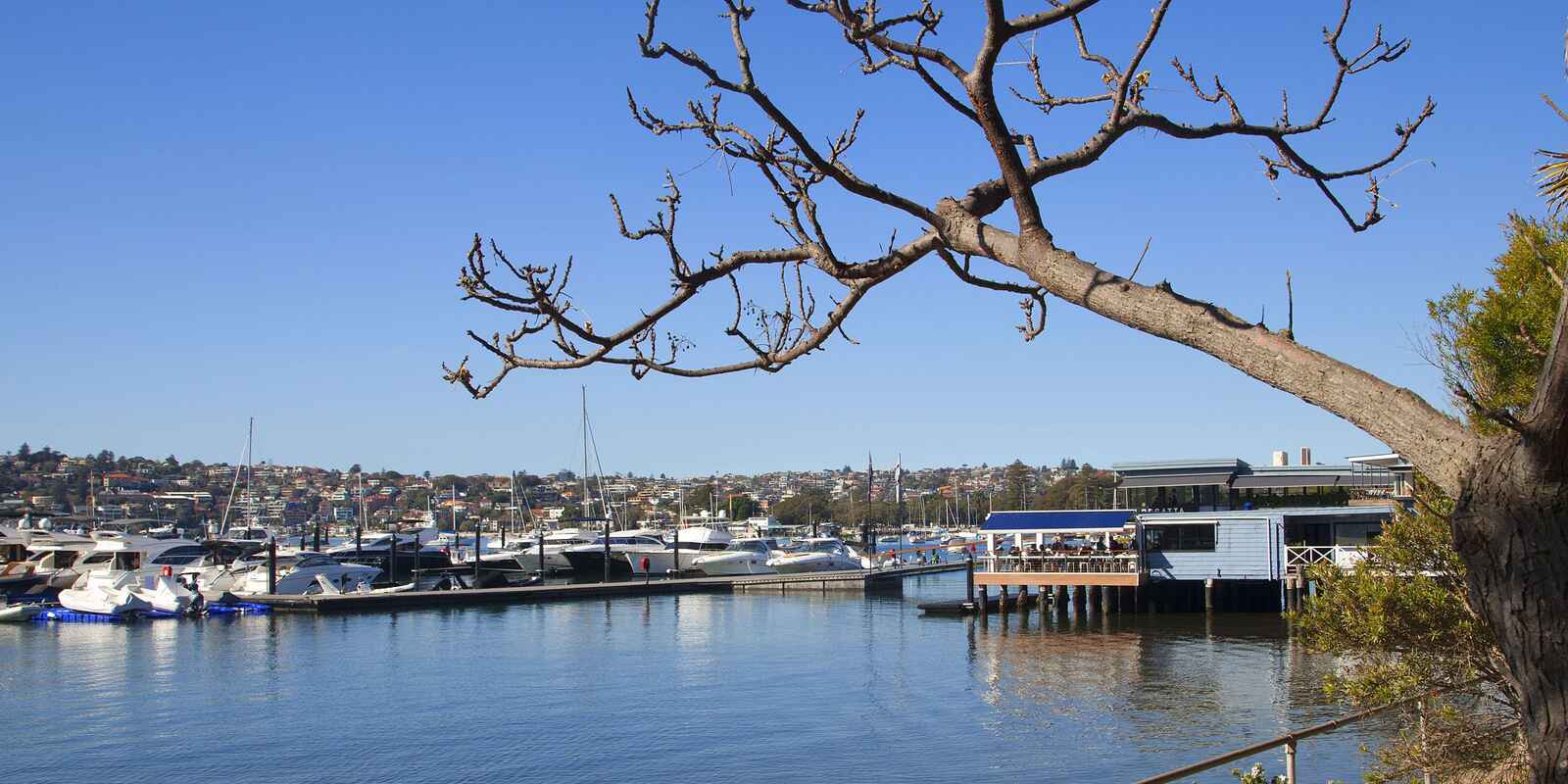 5/38 Wunulla Road Point Piper 5/38 Wunulla Road Point Piper