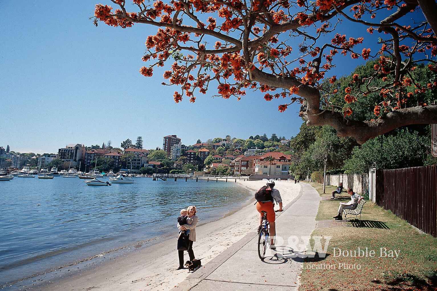 1/20 William Street Double Bay