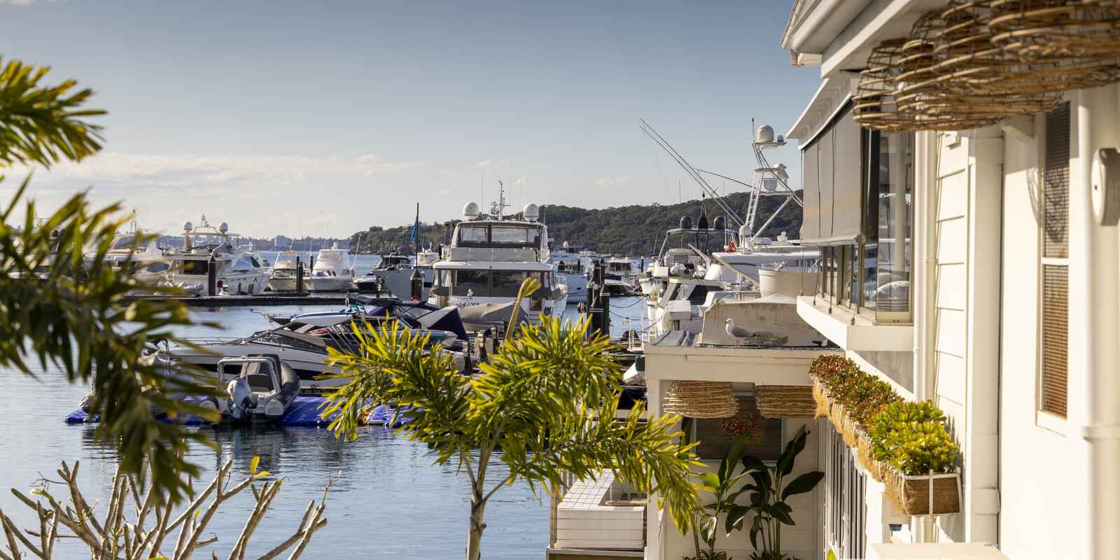 7/5 Manion Avenue Rose Bay 7/5 Manion Avenue Rose Bay