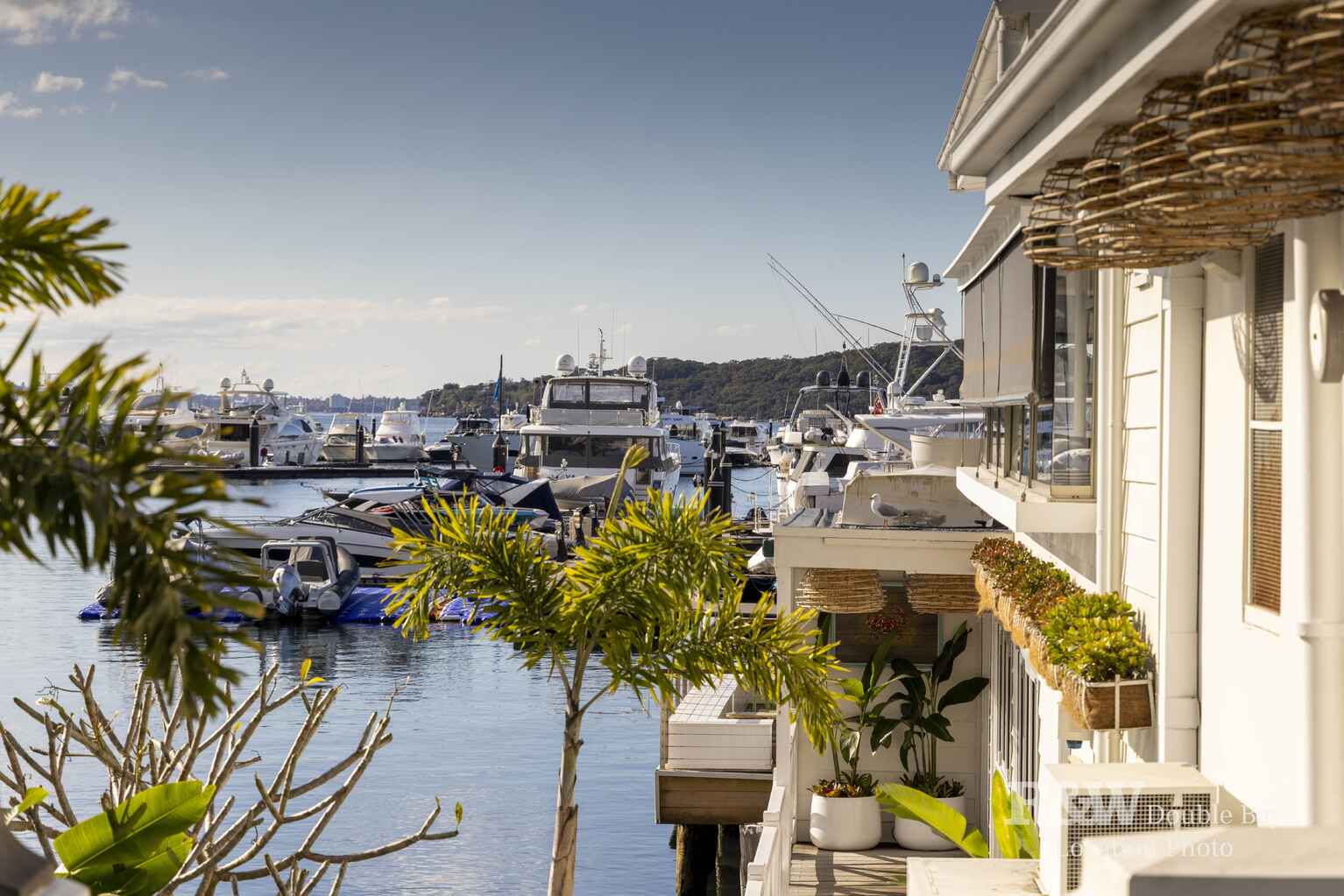 7/5 Manion Avenue Rose Bay