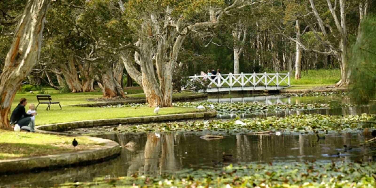 51/127 Cook Road Centennial Park 51/127 Cook Road Centennial Park