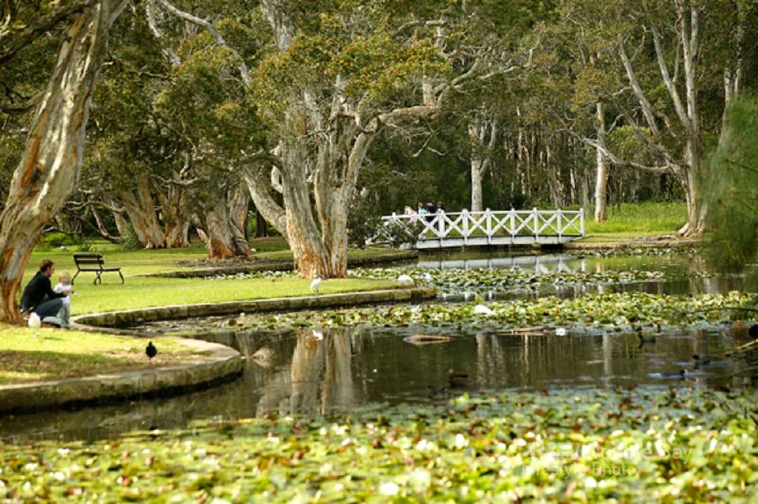 51/127 Cook Road Centennial Park