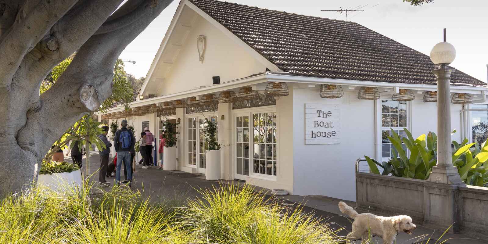 12/19 Balfour Road Rose Bay 12/19 Balfour Road Rose Bay