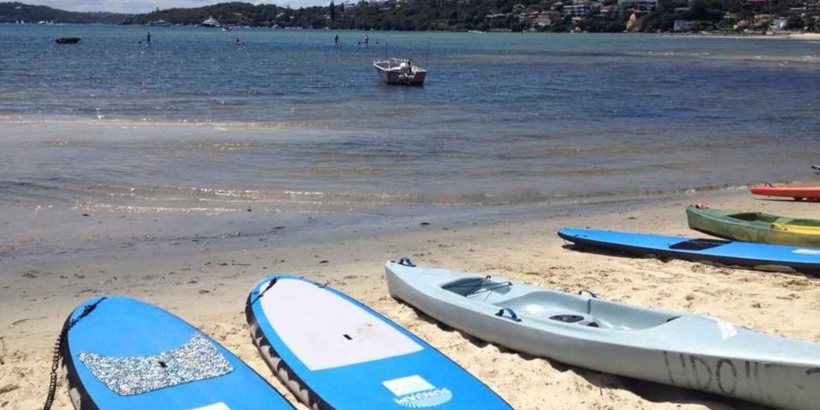 92 Balfour Road Rose Bay