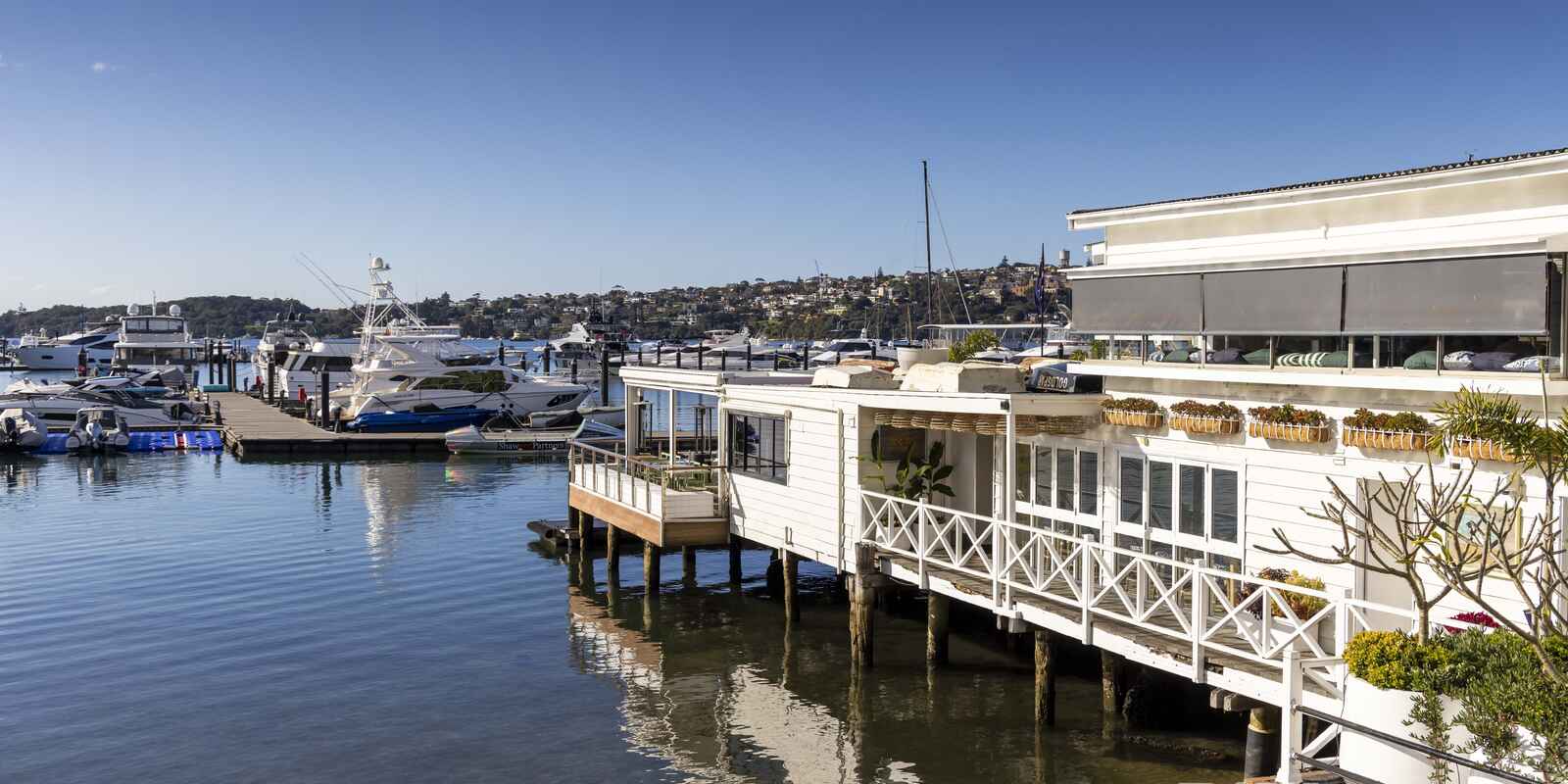 2 Latimer Road  Bellevue Hill