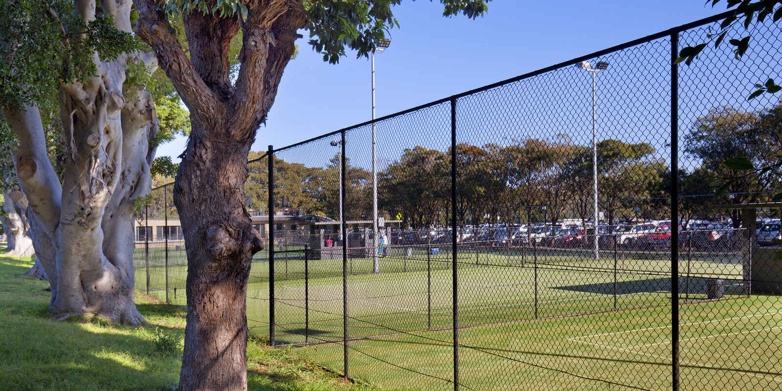 9 Chamberlain Avenue Rose Bay 9 Chamberlain Avenue Rose Bay