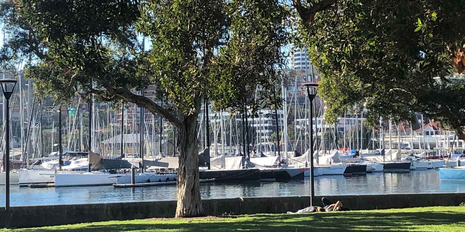 19/64 Bayswater Road Rushcutters Bay 19/64 Bayswater Road Rushcutters Bay