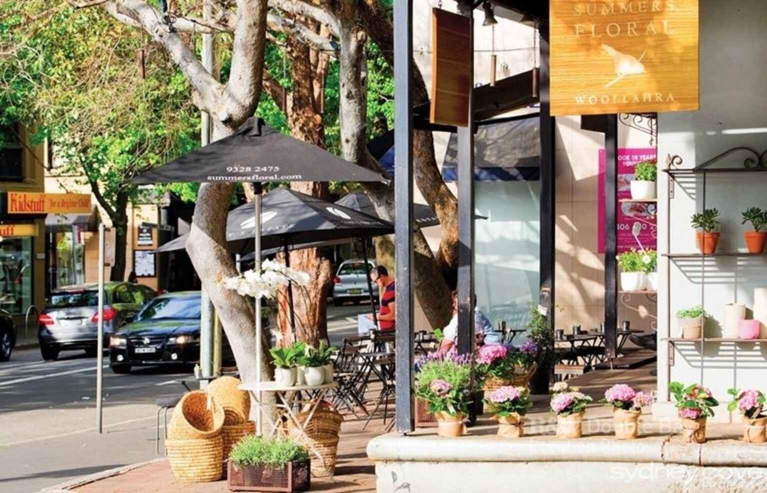 12/85a Ocean Street Woollahra 12/85a Ocean Street Woollahra