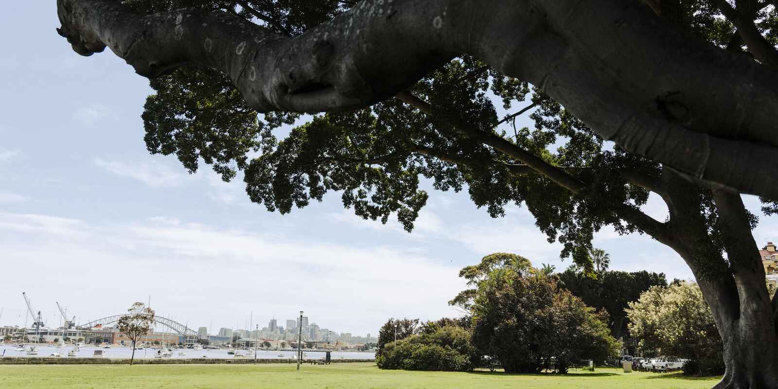 11/2 Kurraghein Avenue Rushcutters Bay 11/2 Kurraghein Avenue Rushcutters Bay