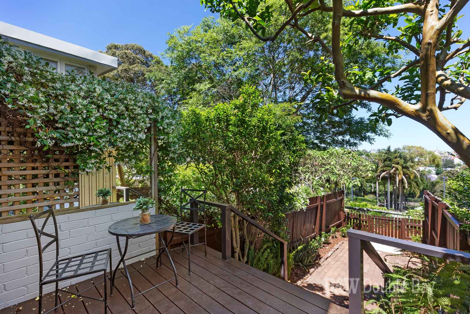 44 Thorne Street Edgecliff