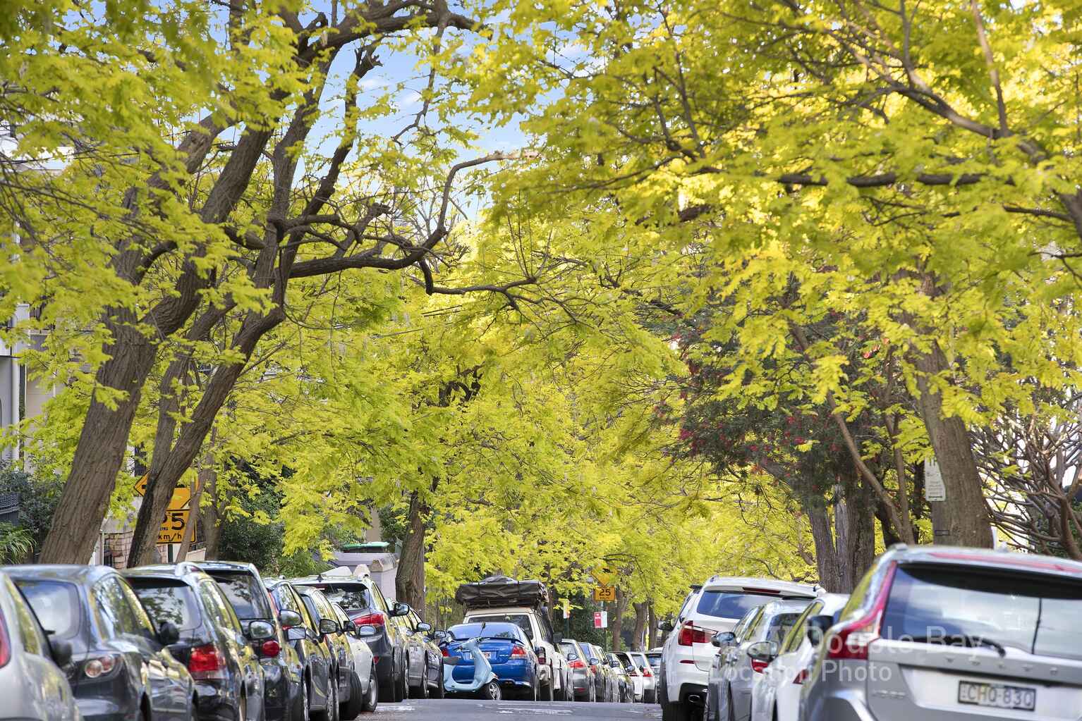 57/15-19 Boundary Street Darlinghurst