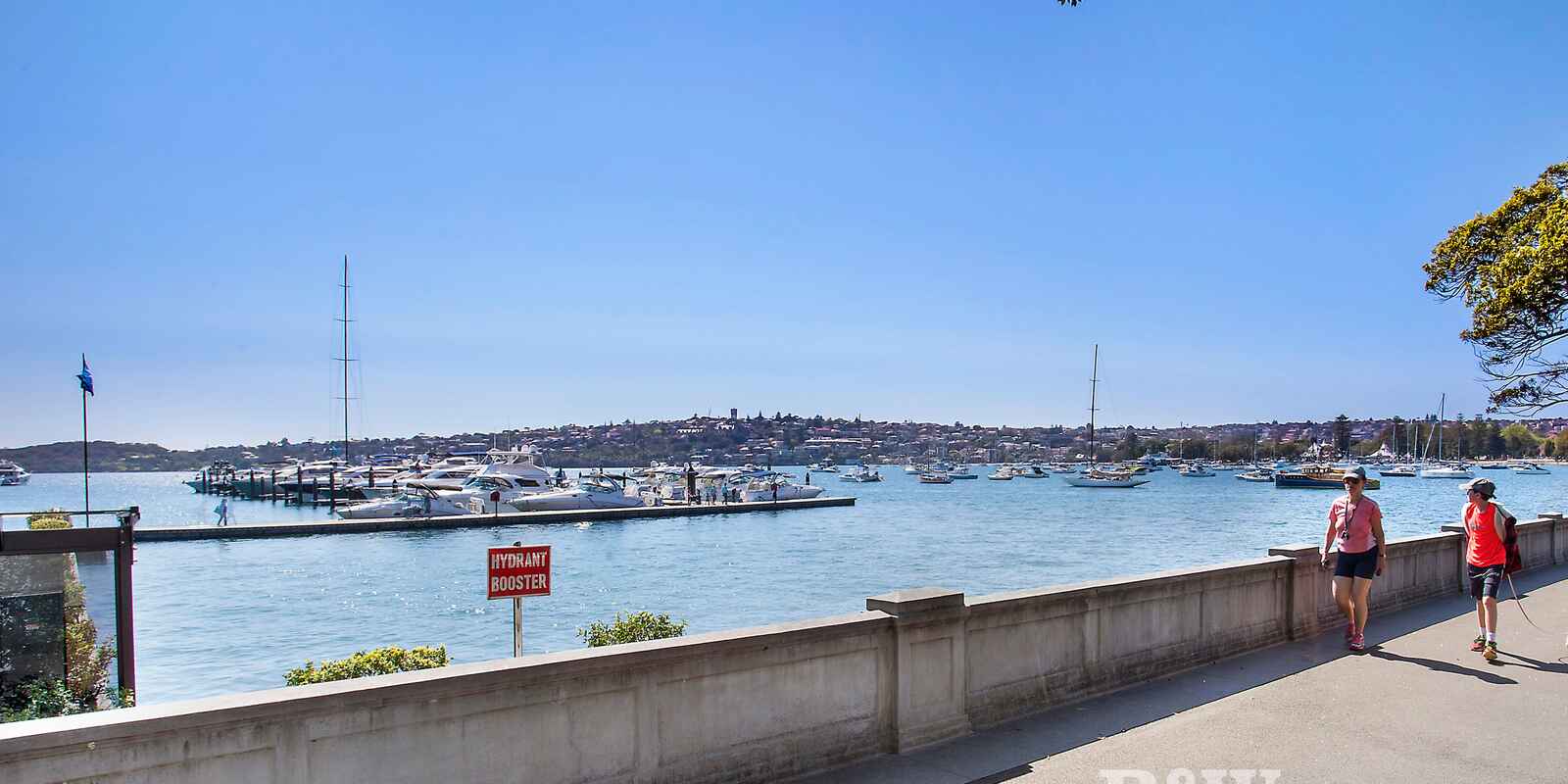 3/659  New South Head Road Rose Bay