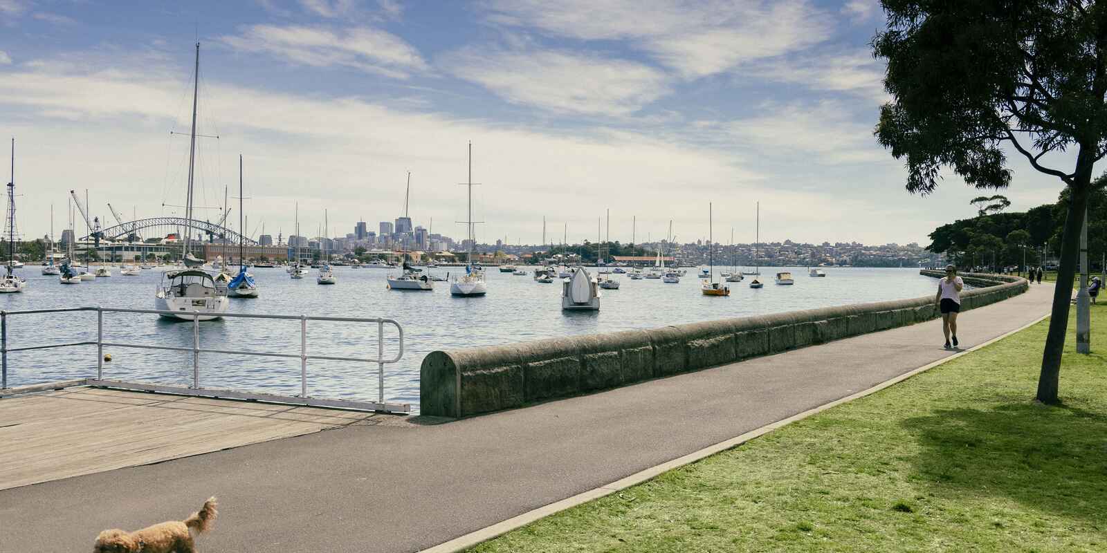 49/68-72 Roslyn Gardens Rushcutters Bay