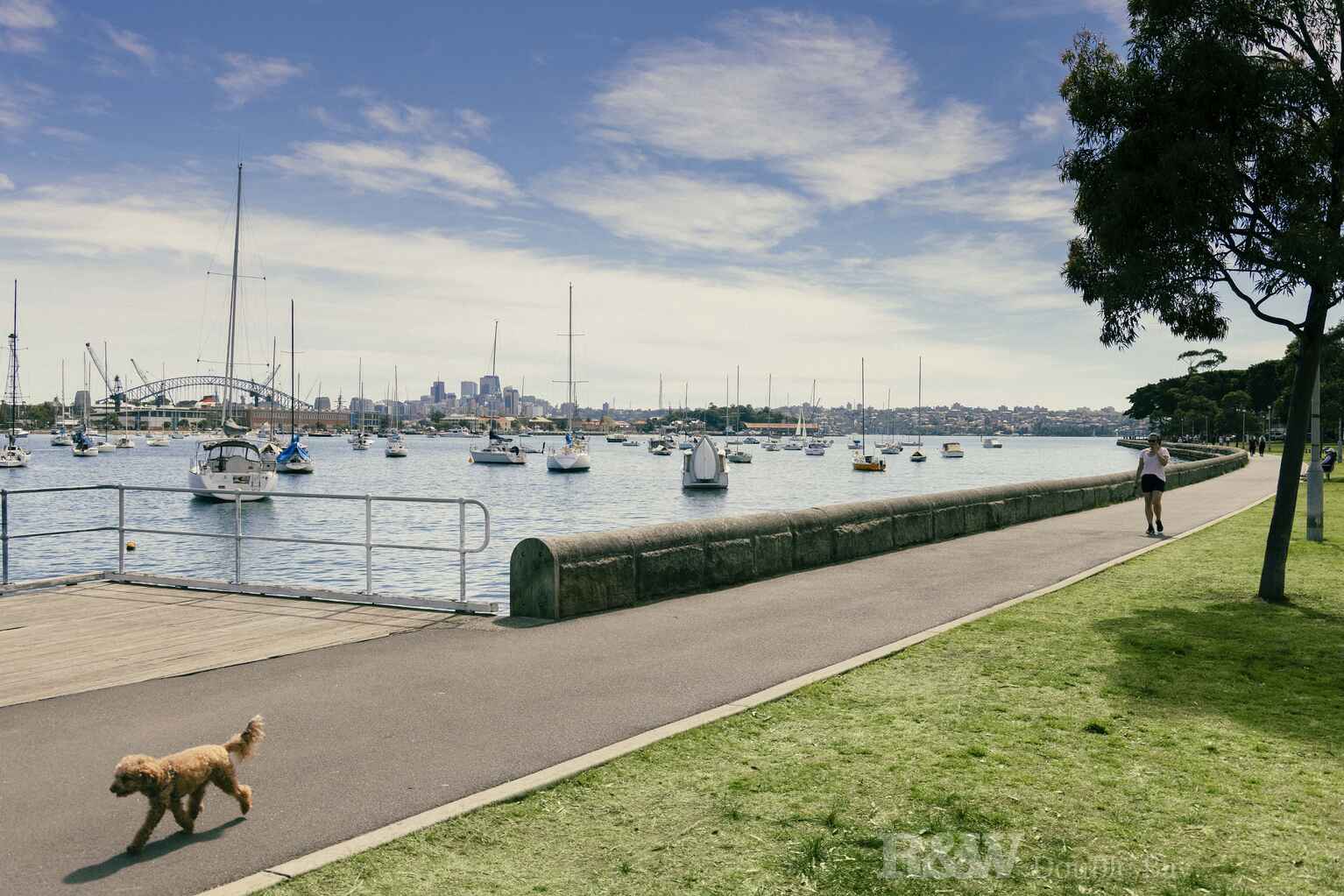 49/68-72 Roslyn Gardens Rushcutters Bay