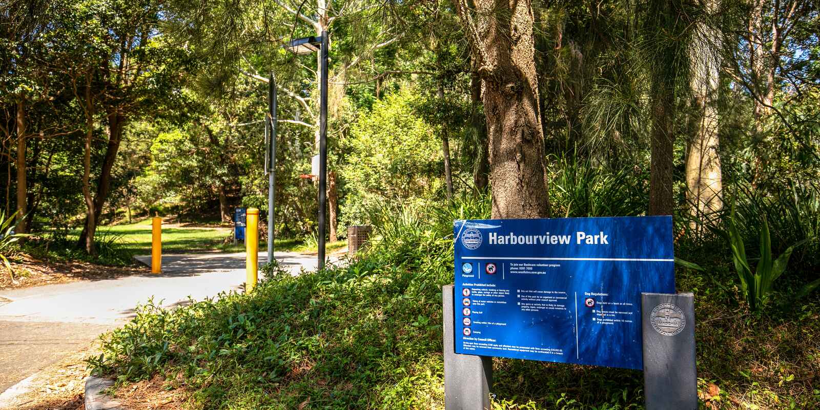 29 Bathurst Street  Woollahra