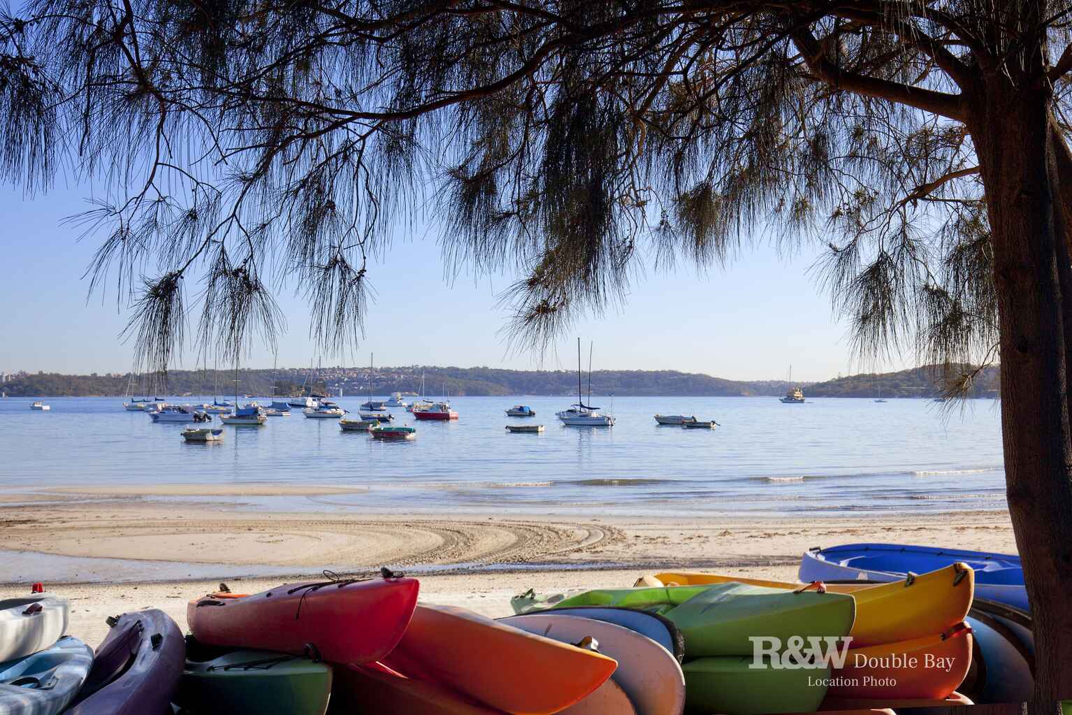 50 Beresford Road Rose Bay 50 Beresford Road Rose Bay