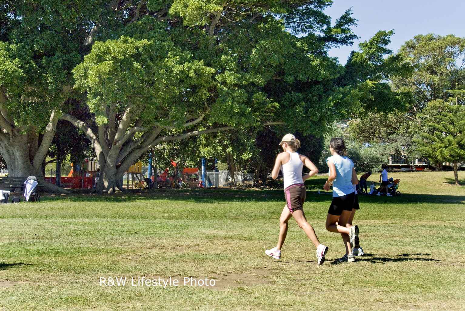 11/766 New South Head Road Rose Bay 11/766 New South Head Road Rose Bay