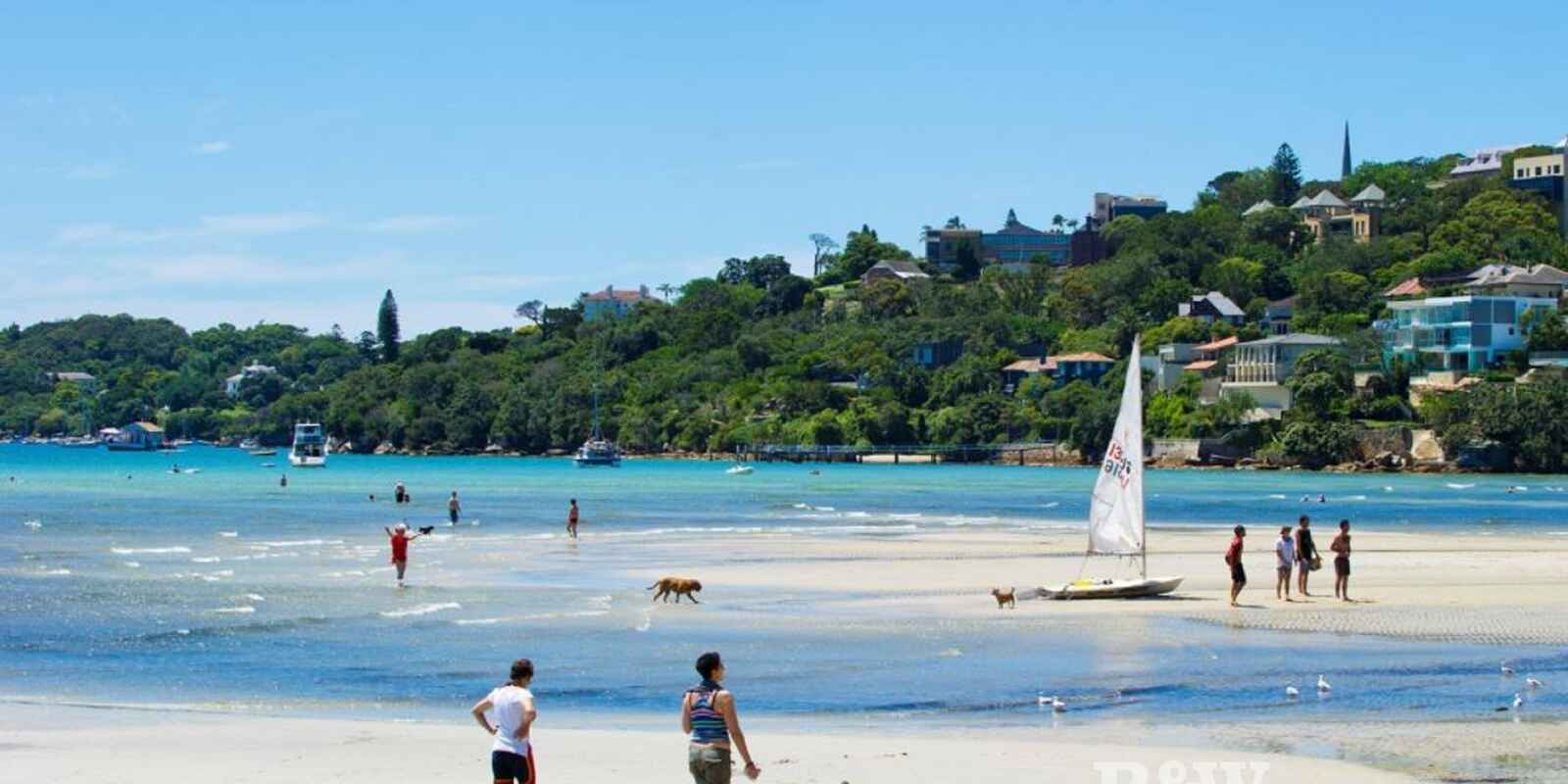 11/766 New South Head Road Rose Bay