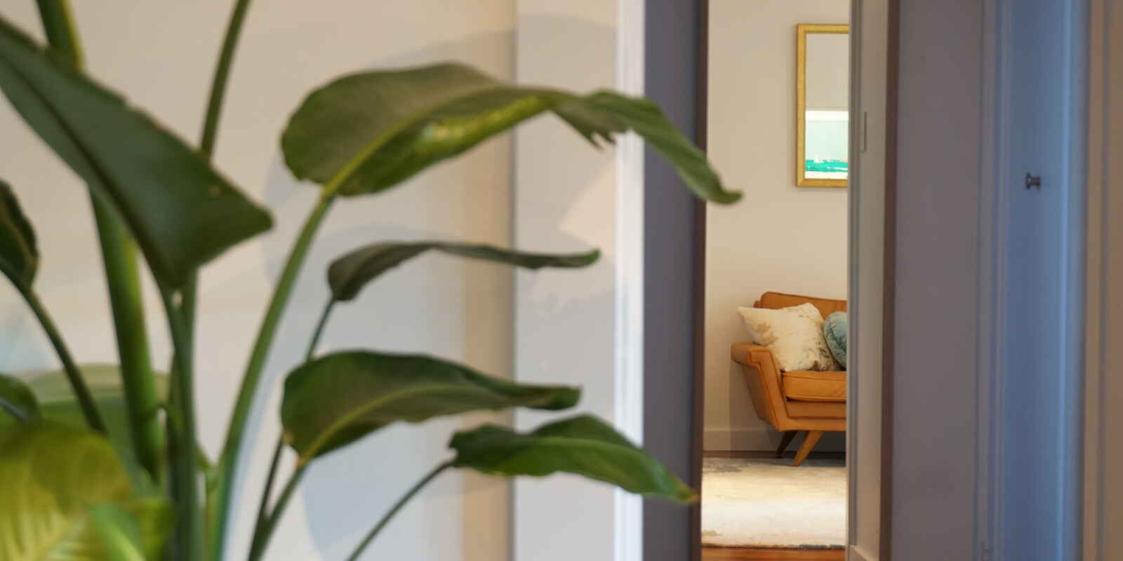 18/16 Macleay Street Potts Point 18/16 Macleay Street Potts Point