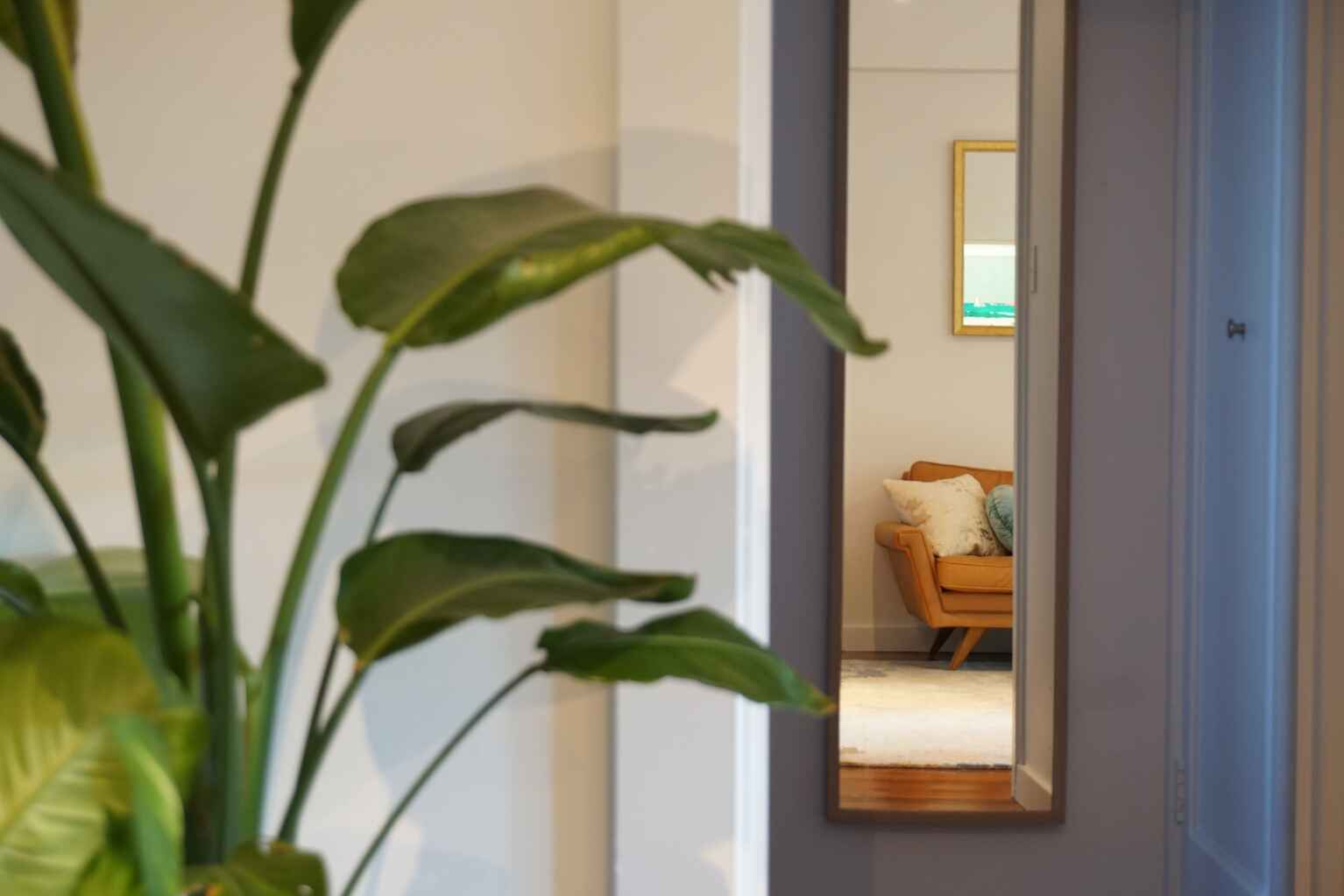 18/16 Macleay Street Potts Point