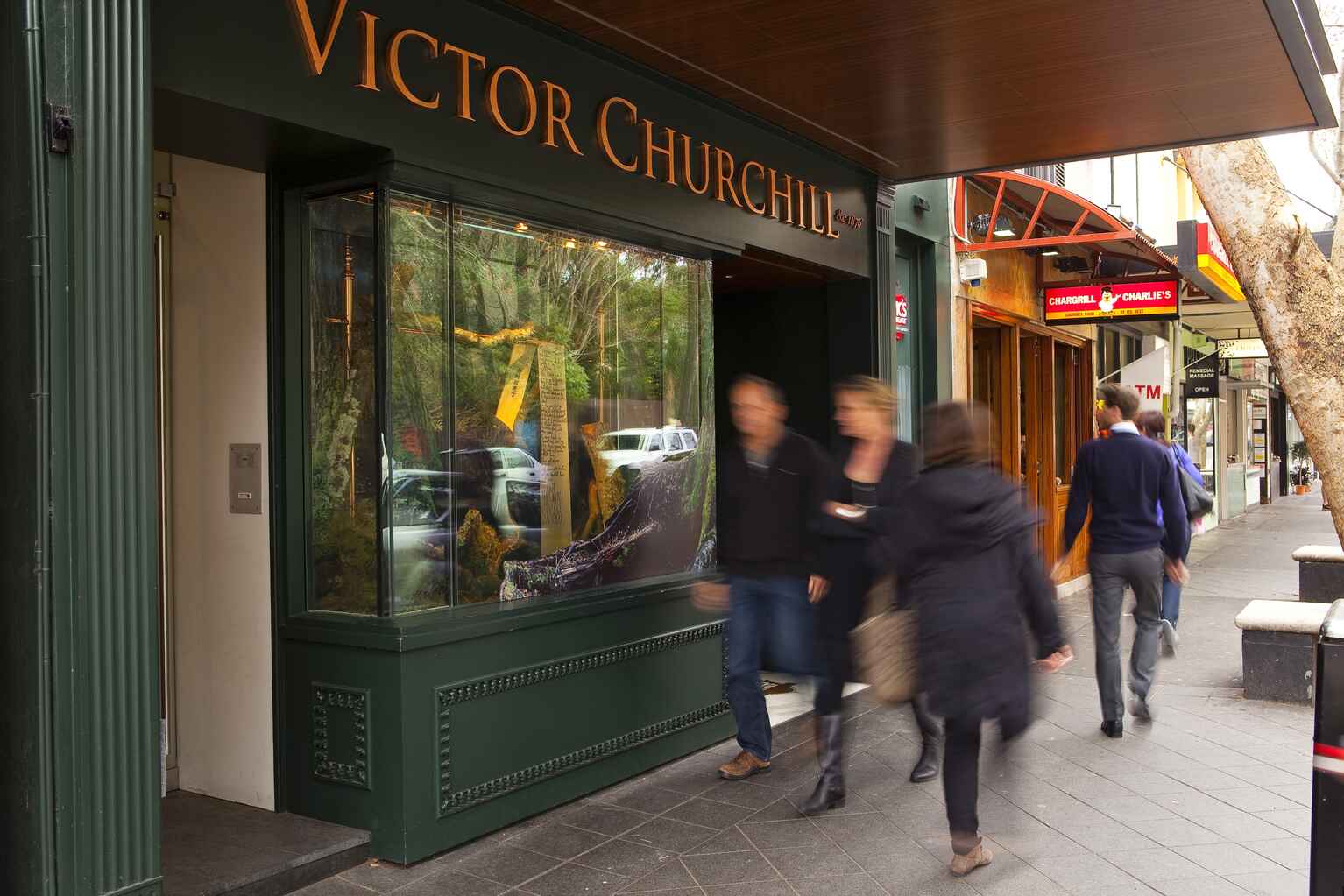 9/6 Trelawney Street Woollahra