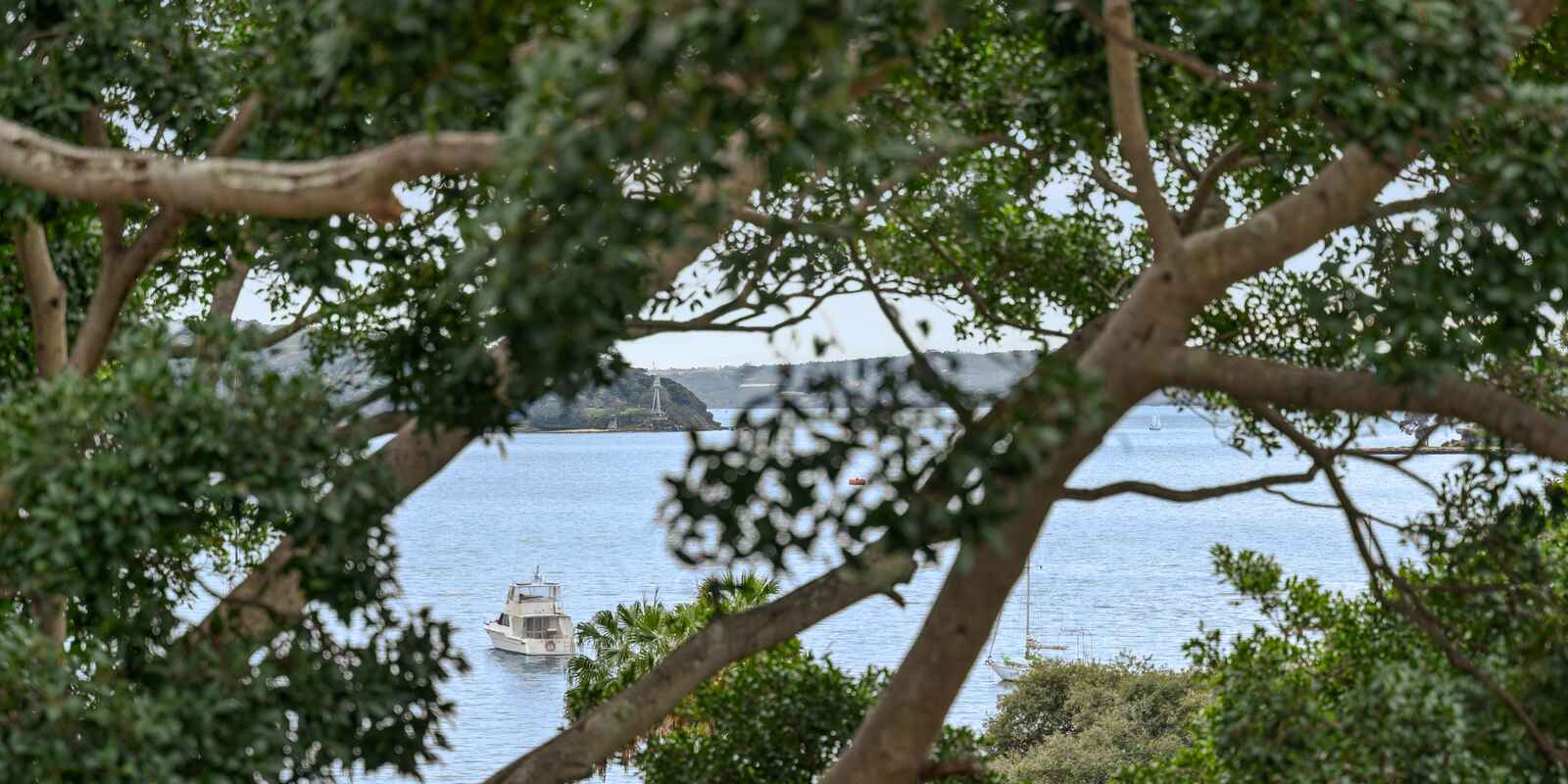 51/5-7 Esplanade  Elizabeth Bay