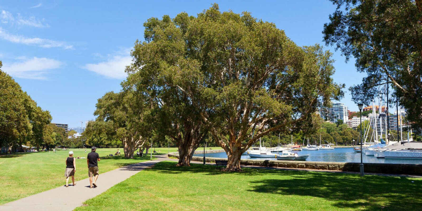 3/65 Darling Point Road Darling Point