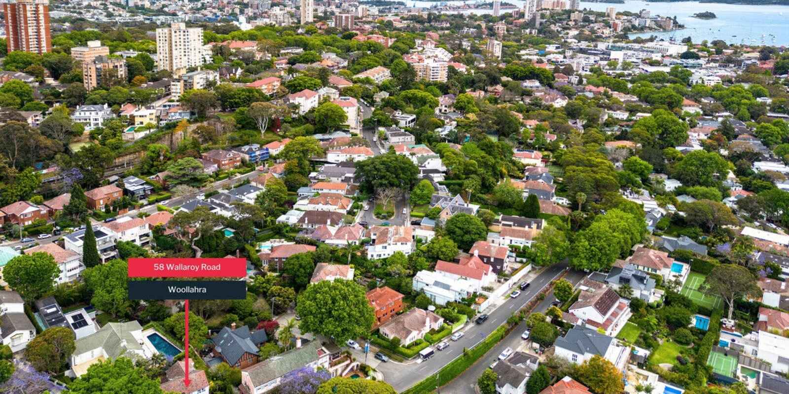 58 Wallaroy Road Woollahra