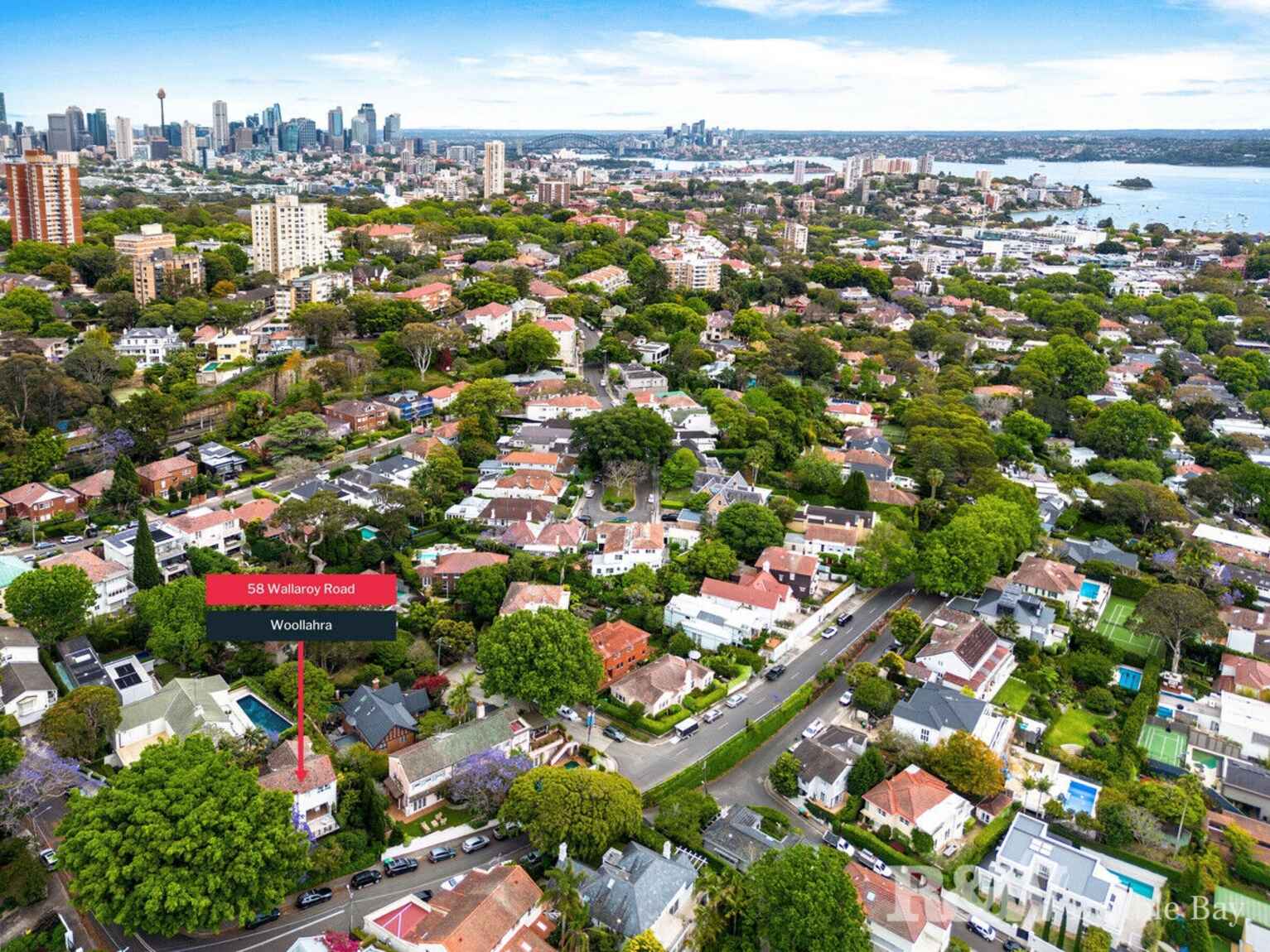 58 Wallaroy Road Woollahra