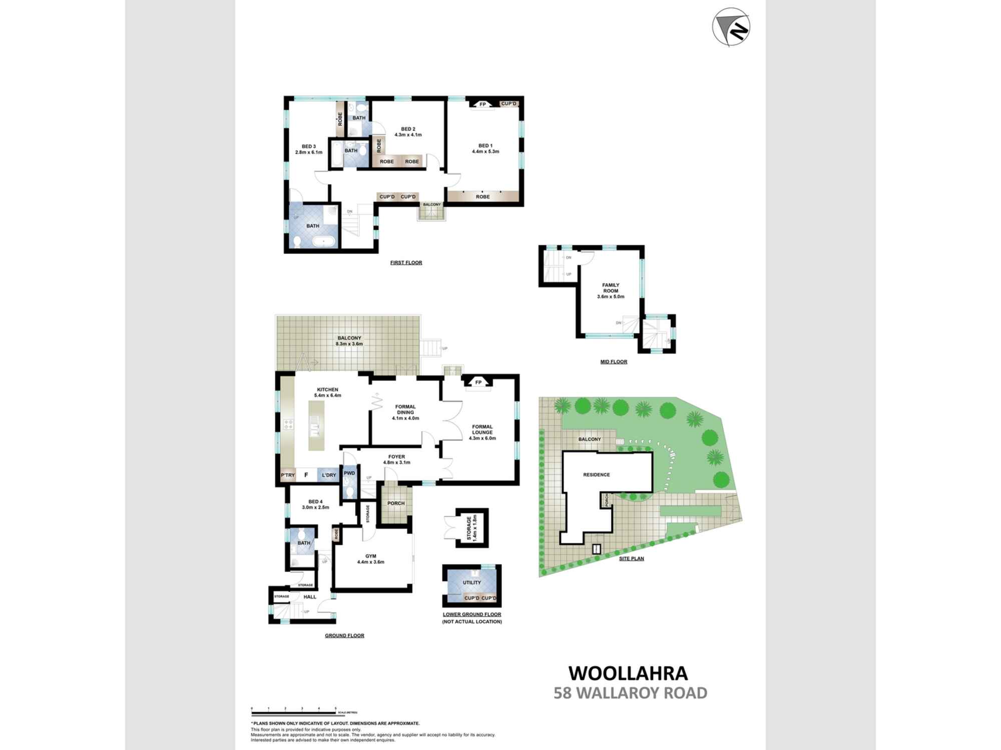 58 Wallaroy Road Woollahra