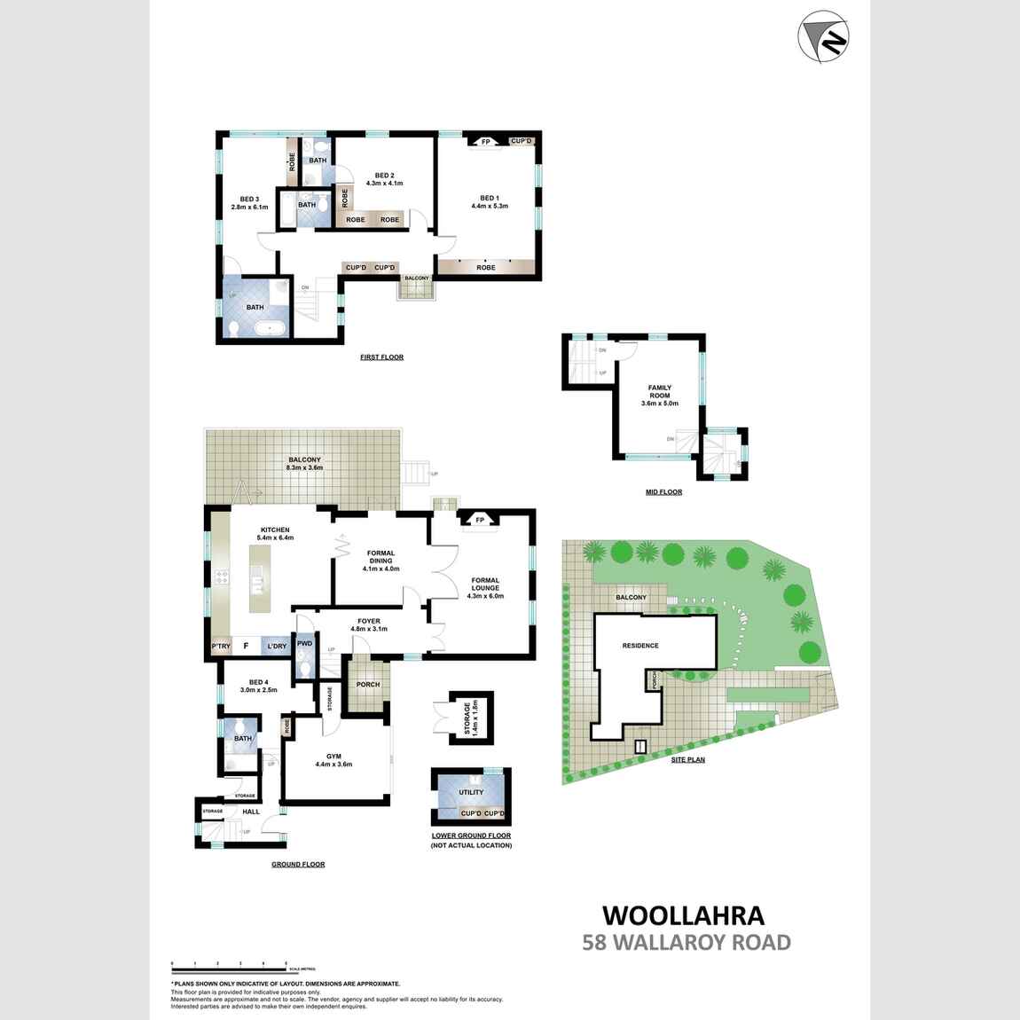 58 Wallaroy Road Woollahra