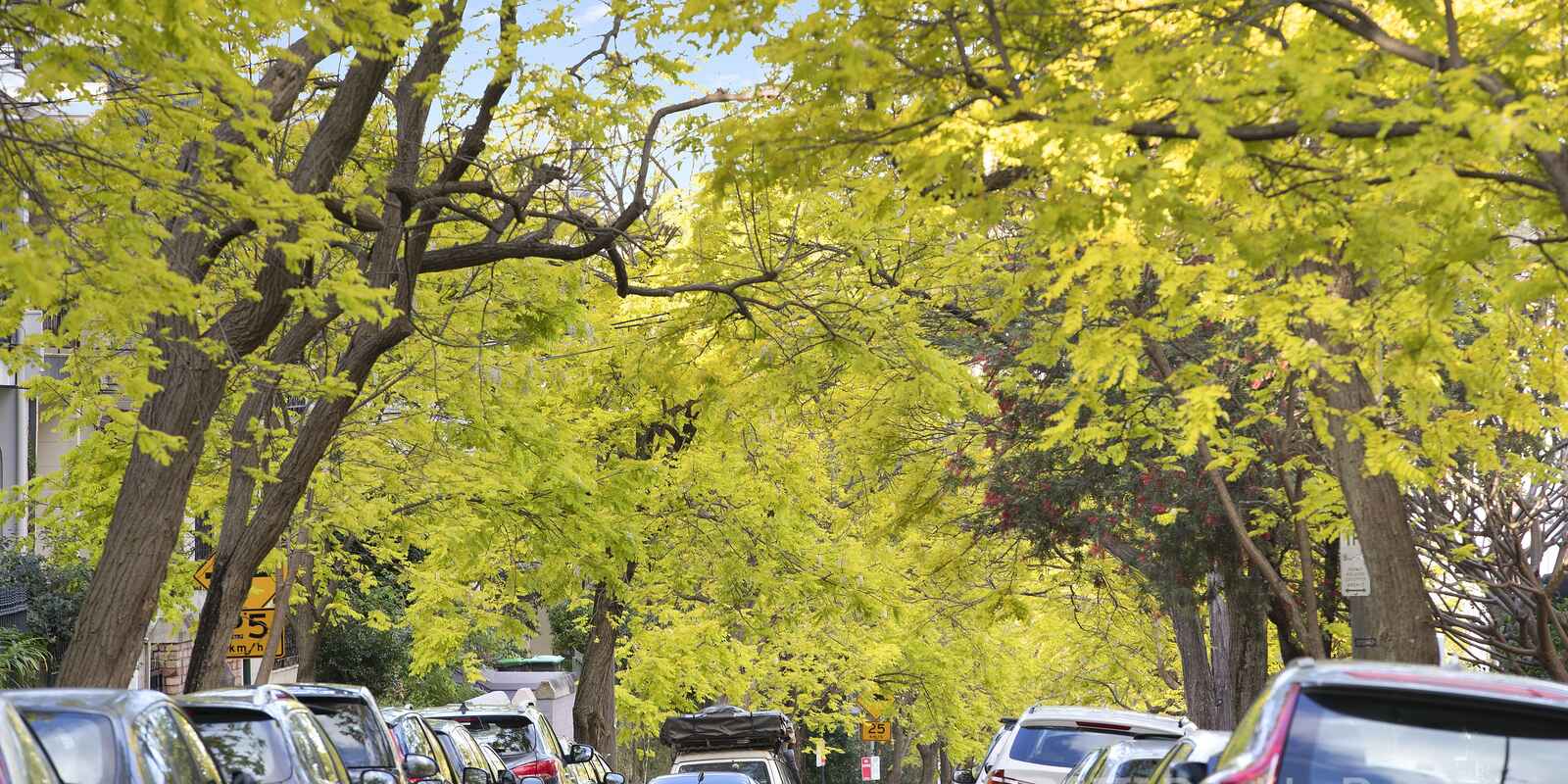 3/37-39 Francis Street Darlinghurst 3/37-39 Francis Street Darlinghurst