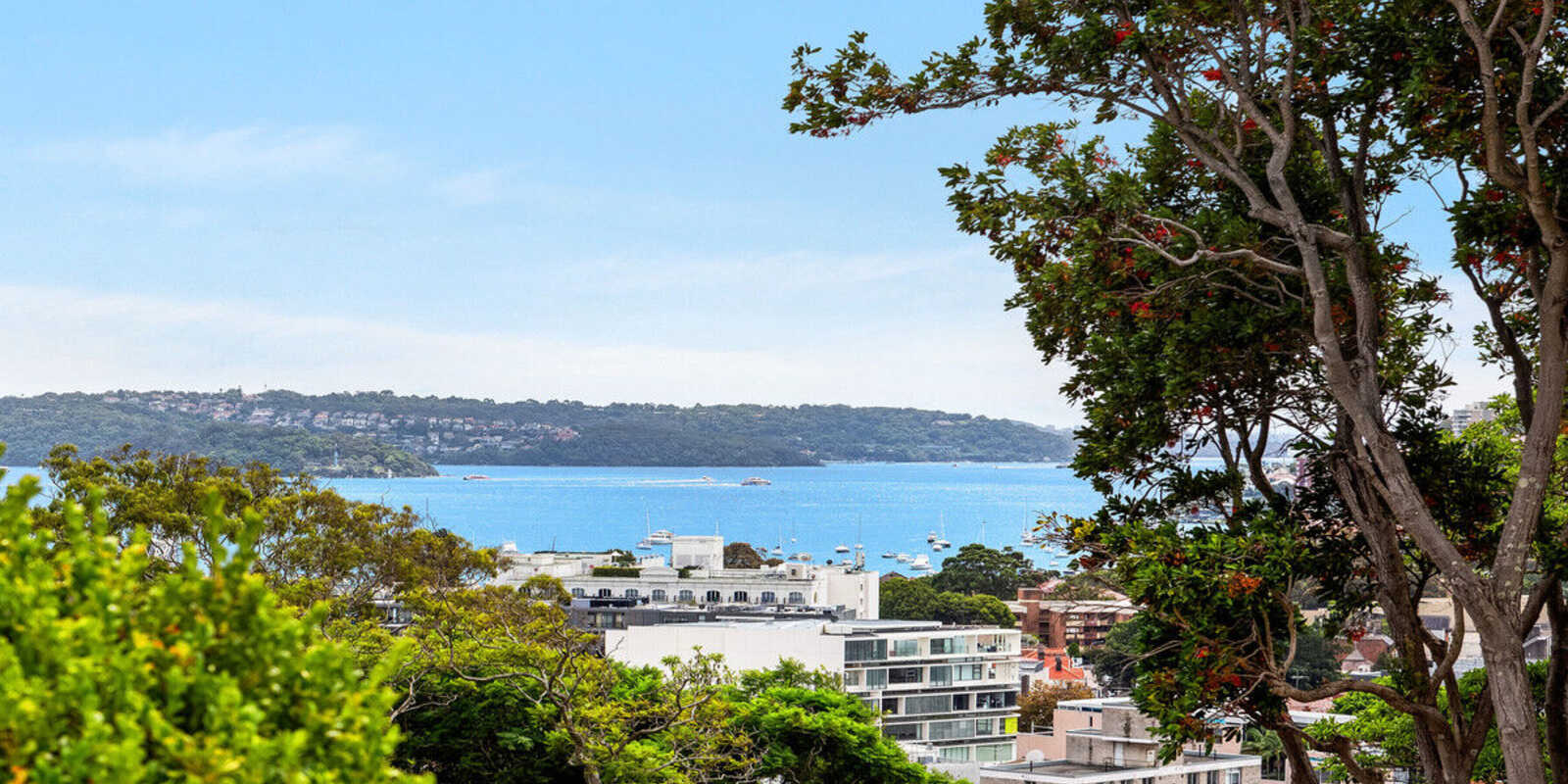 7/339-341 Edgecliff Road Edgecliff 7/339-341 Edgecliff Road Edgecliff