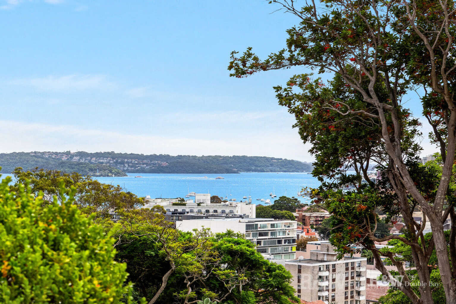 7/339-341 Edgecliff Road Edgecliff 7/339-341 Edgecliff Road Edgecliff